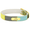 Dog Collar With Name On It