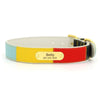 Color Dog Collar With Name On It