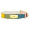 Dog Collar With Name On It