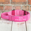 Pink Tactical Dog Collar With Name Patch