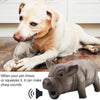 Black Pig Dog Toy squeezes