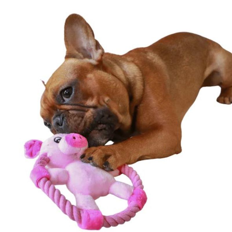 Pig Tug Toy for Dogs