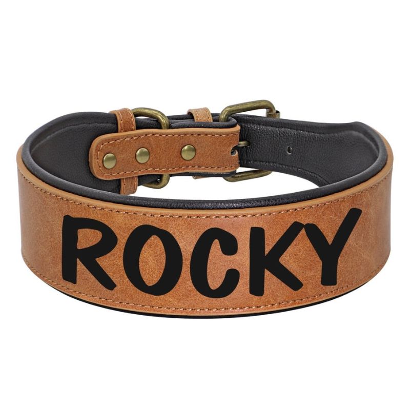Tooled Leather Dog Collar With Name