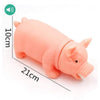 Small Squeaky Pig Dog Toy Size Guide