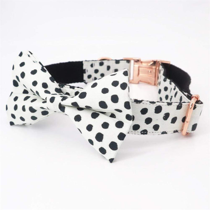 Black Point Bow Tie Dog Collar
