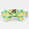 Bow Tie Dog Collar Pineapple