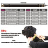 Personalized Dog Collars Name and Phone Number
