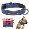 Leather Dog Collar With Name Engraved