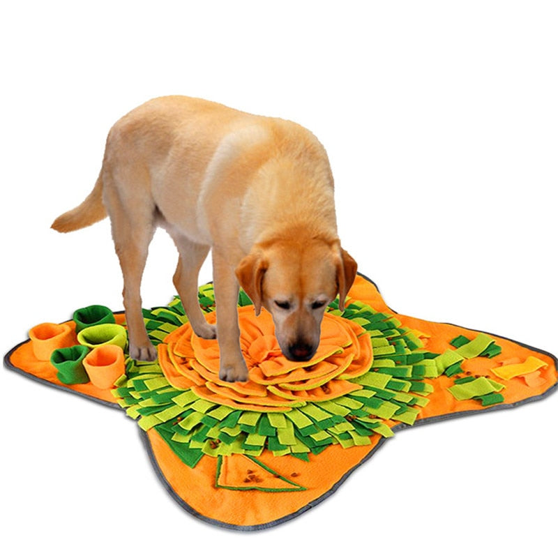 dog food rug