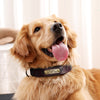 Personalized Heavy Duty Dog Collar