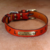 Light Brown Personalized Heavy Duty Dog Collar