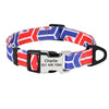 Dog Collar With Embedded Tag Blue