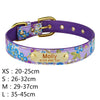 Female Dog Collar With Name