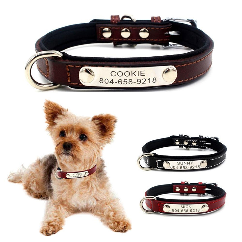 Leather Dog Collar With Name Plate USA