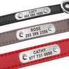 Personalized Dog Collar with Metal Buckle