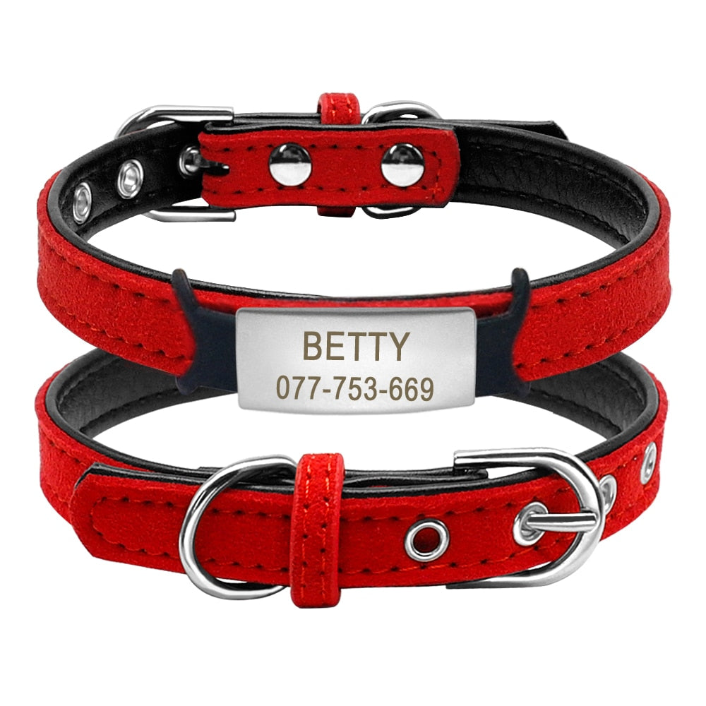 Puppy Collar with Name Tag