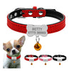 Puppy Collar with Name Tag