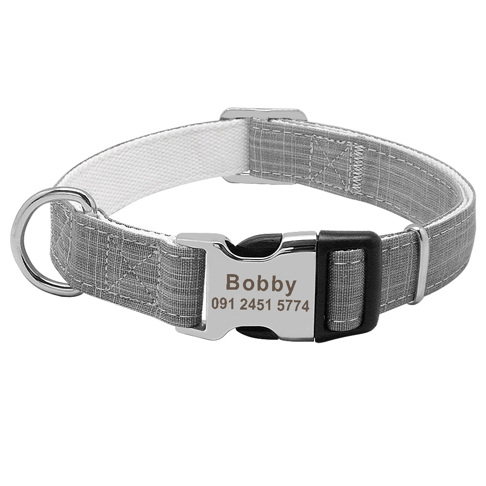 Gray Dog Collar With Name Plate