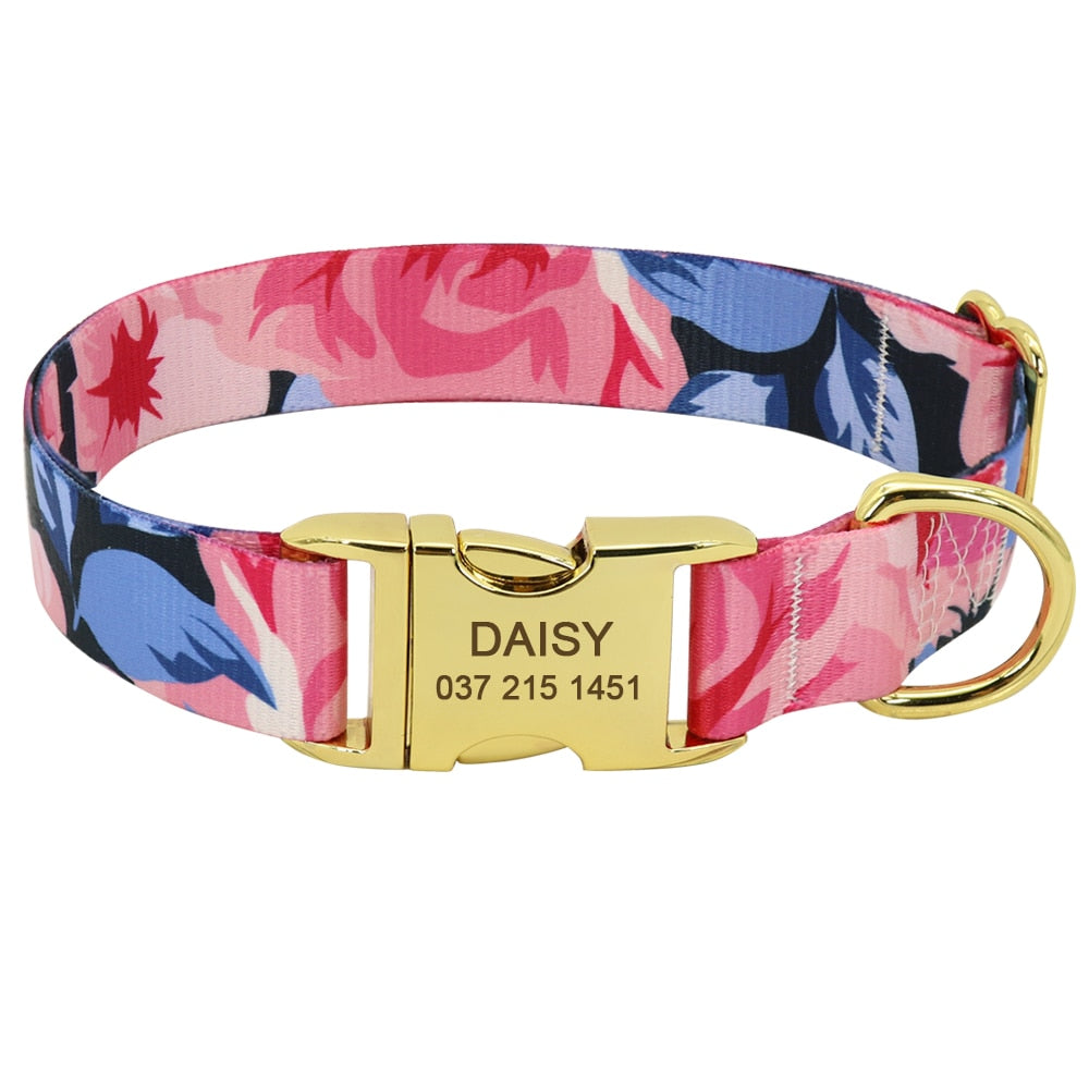 Beagle Collar With Name Plate
