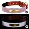 Pink Reflective Dog Collar With Name Plate