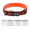 Dog Collar with Name Phone Number