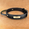 Personalized Dog Collar with Handle