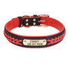 Dog Collar with Name and Number