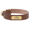 Thick Leather Dog Collar with Nameplate