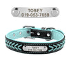 Dog Collar with Name and Number