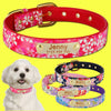 Female Dog Collar With Name