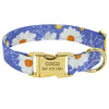 Beagle Collar With Name Plate Blue