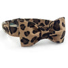 Jungle Leopard Bow Tie Dog Collar