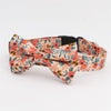 Orange Flower Bow Tie Dog Collar