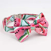 Pink Watermelon Bow Tie Dog Collar