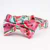 Pink Watermelon Bowtie Dog Collar
