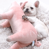 Plush Piggy Dog Toy