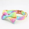 Rainbow Bow Tie Dog Collar