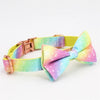 Rainbow dog bow tie