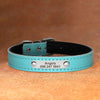 Leather Dog Collar With Personalized Name Plate - Riveted