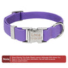 Personalized Purple Dog Collar