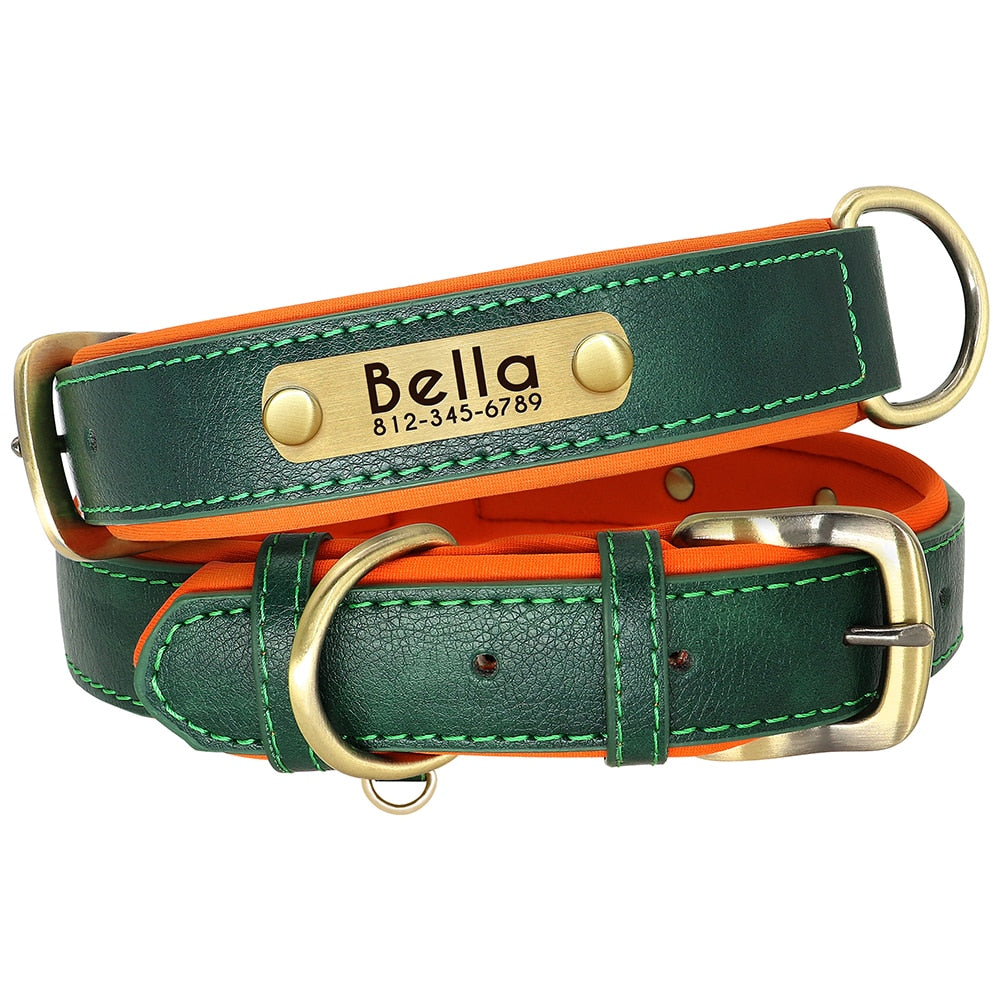 Leather Dog Collar With Name Tag