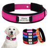Dog Collar with Name and Phone Number