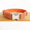 Dog Collar with Tag Built in