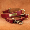 Leather Dog Collar With Brass Name Plate