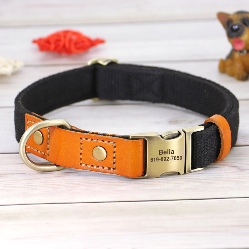 Dog Collar with Name and Telephone Number