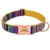 Dog Collar With Number