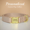 Dog Collar With Info On It