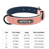 Pink Leather Dog Collar with Name Plate