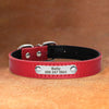 Red Leather Dog Collar With Personalized Name Plate Riveted On