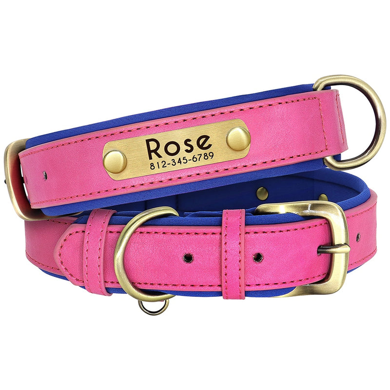 Leather Dog Collar With Name Tag